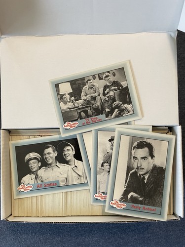 1990 the andy - griffith, show
